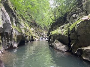 Пекин наема ездачи като пазачи за безопасност на храните