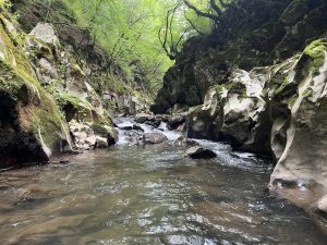 Повече от половината батерии могат да бъдат произведени от рециклиран литий · TechNode