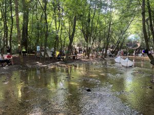 Tesla иска да тества FSD софтуер в Китай с одобрение от правителството: доклад · TechNode