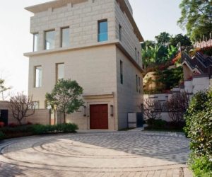 Находката на китайски фосили осветява най-ранното масово измиране на Земята