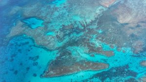 Китай ще създаде национален фонд за преход с ниски въглеродни емисии, насърчаване на зелената икономика: проект на доклад за работата на правителството