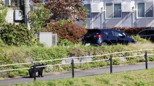 Нарастването на „токените“ сигнализира за нови възможности