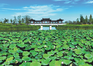 Възстановеното езеро отразява миналото и бъдещето заедно